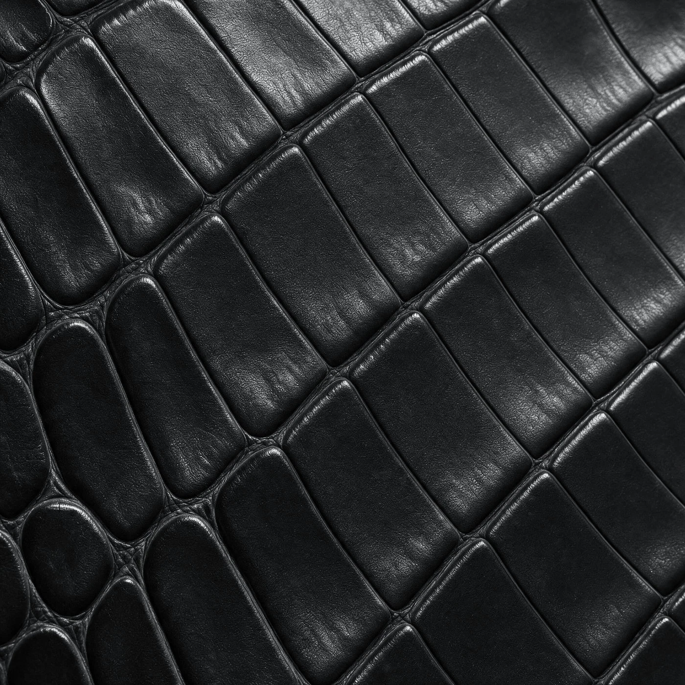 iPhone Case 18 & 17 &mdash; Alligator Black view 10