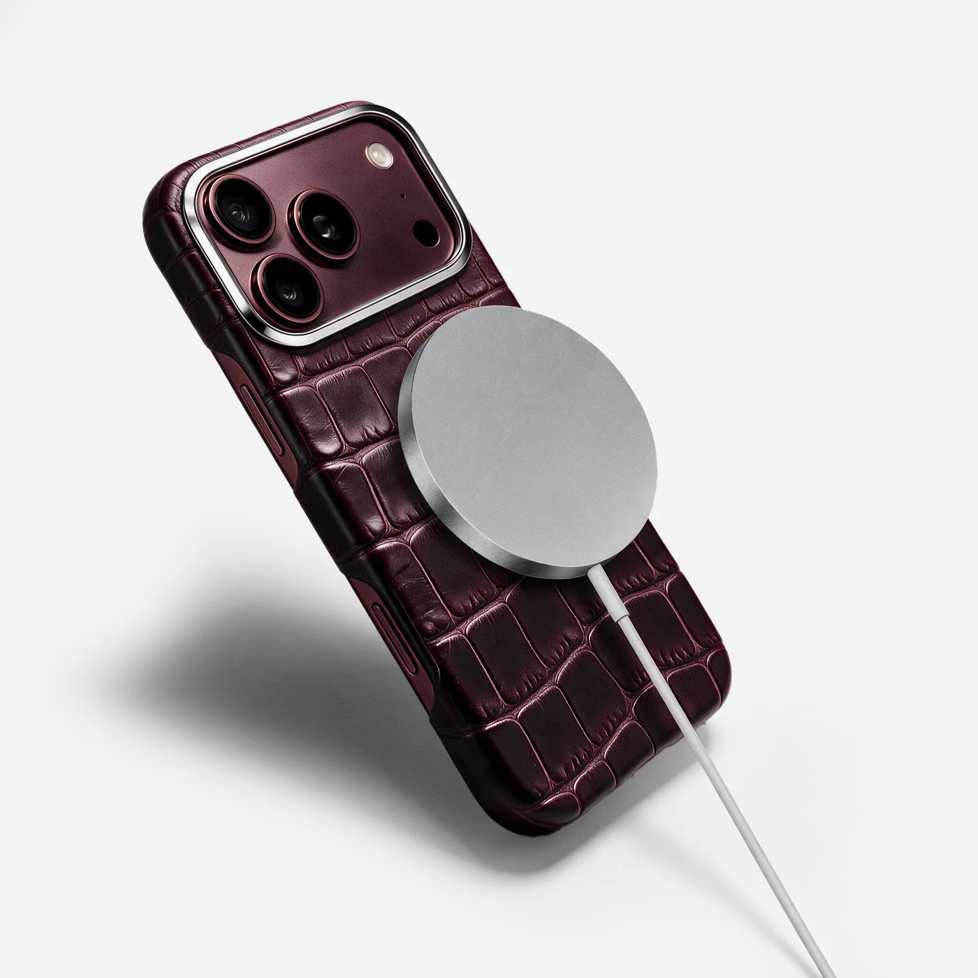 iPhone Case 18 & 17 &mdash; Alligator Burgundy view 13