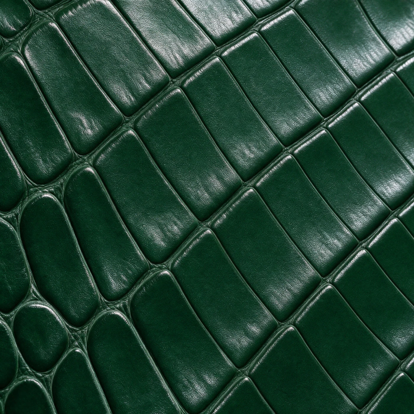 iPhone Case 18 & 17 &mdash; Alligator Green view 10