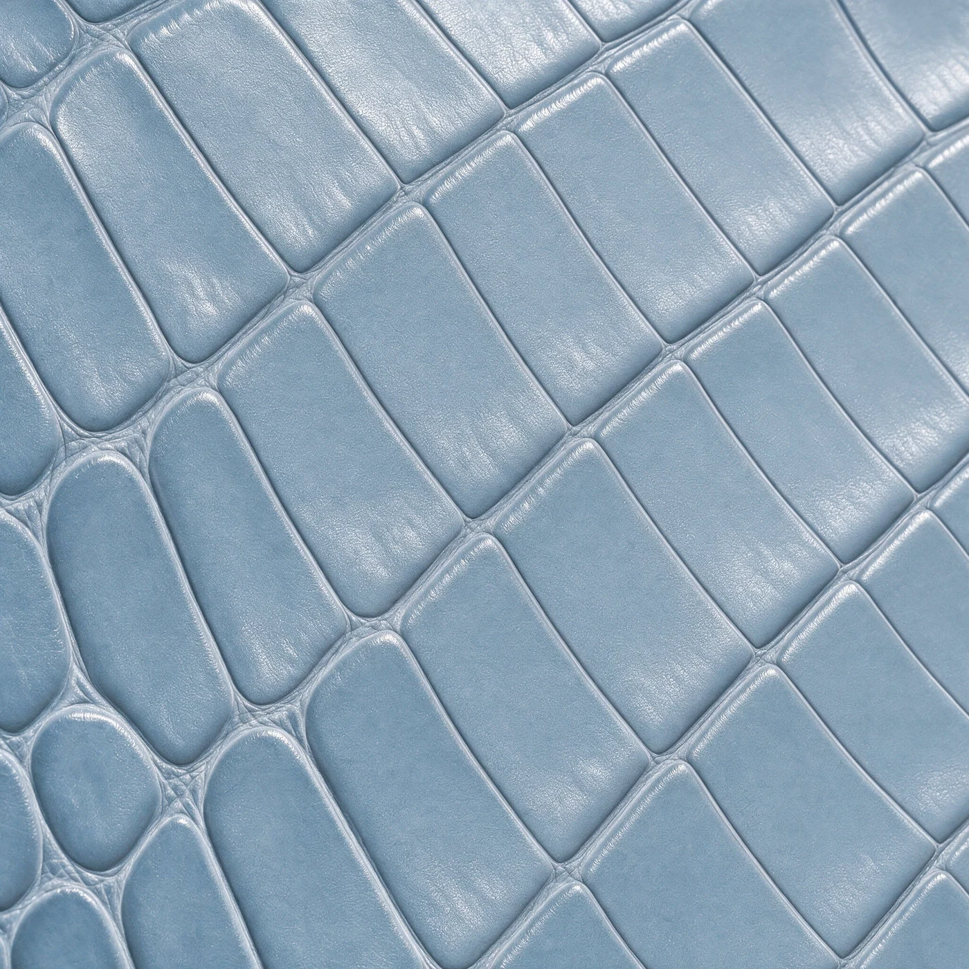 iPhone Case 18 & 17 &mdash; Alligator Light Blue view 10