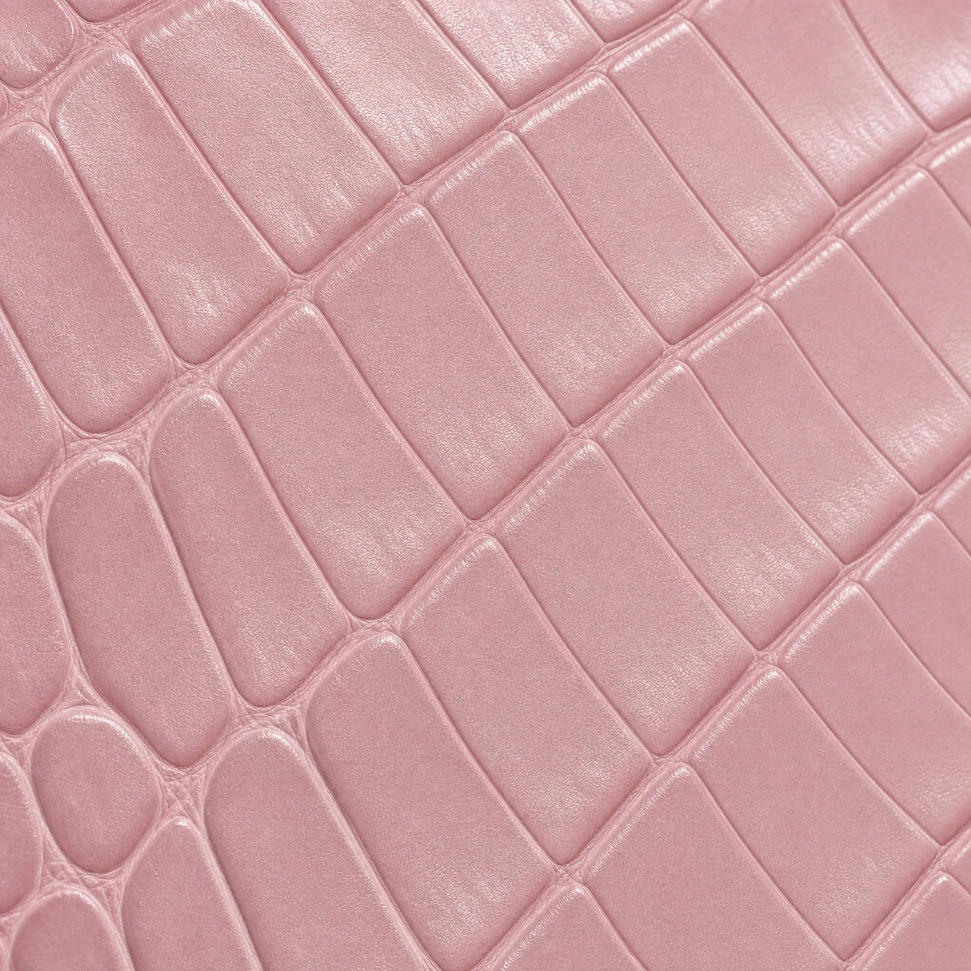 iPhone Case 18 & 17 &mdash; Alligator Pink view 10