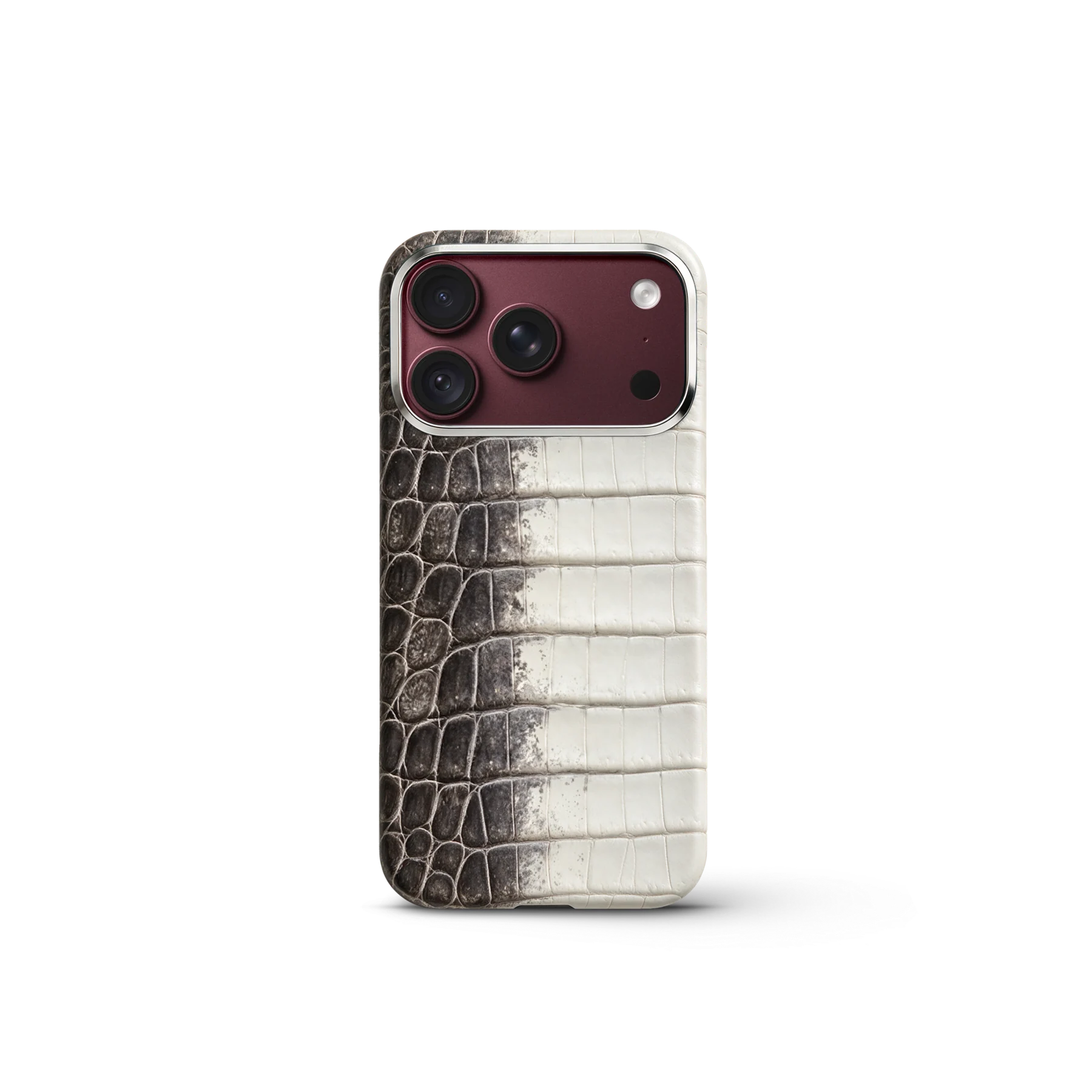 iPhone Case 18 & 17 &mdash; Crocodile Himalaya view 2