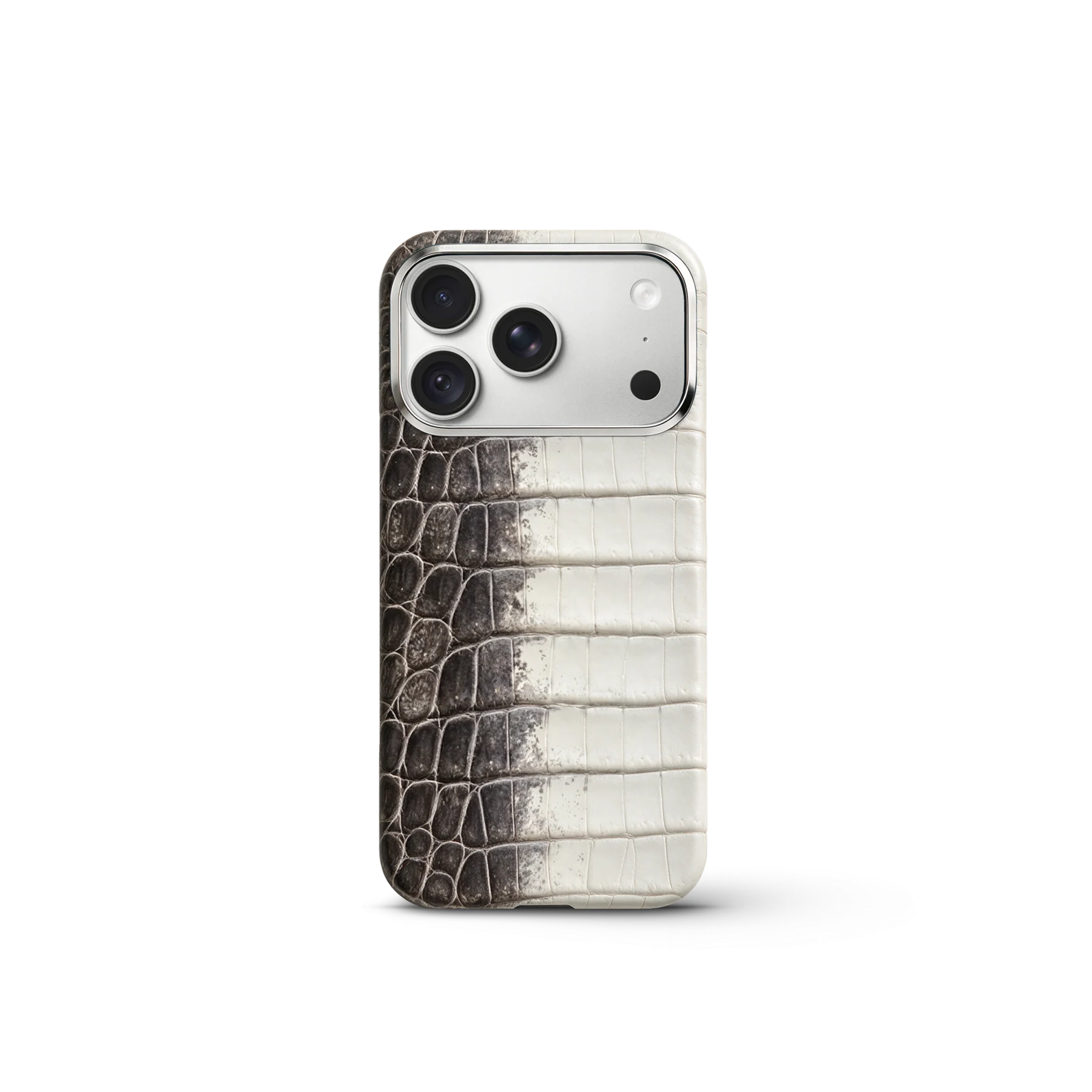 iPhone Case 18 & 17 &mdash; Crocodile Himalaya view 4
