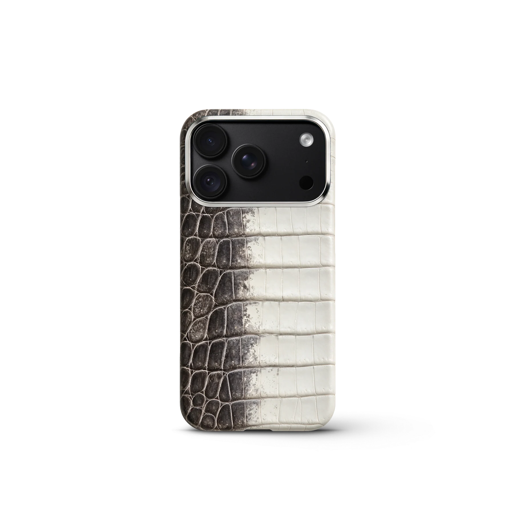 iPhone Case 18 & 17 &mdash; Crocodile Himalaya view 5