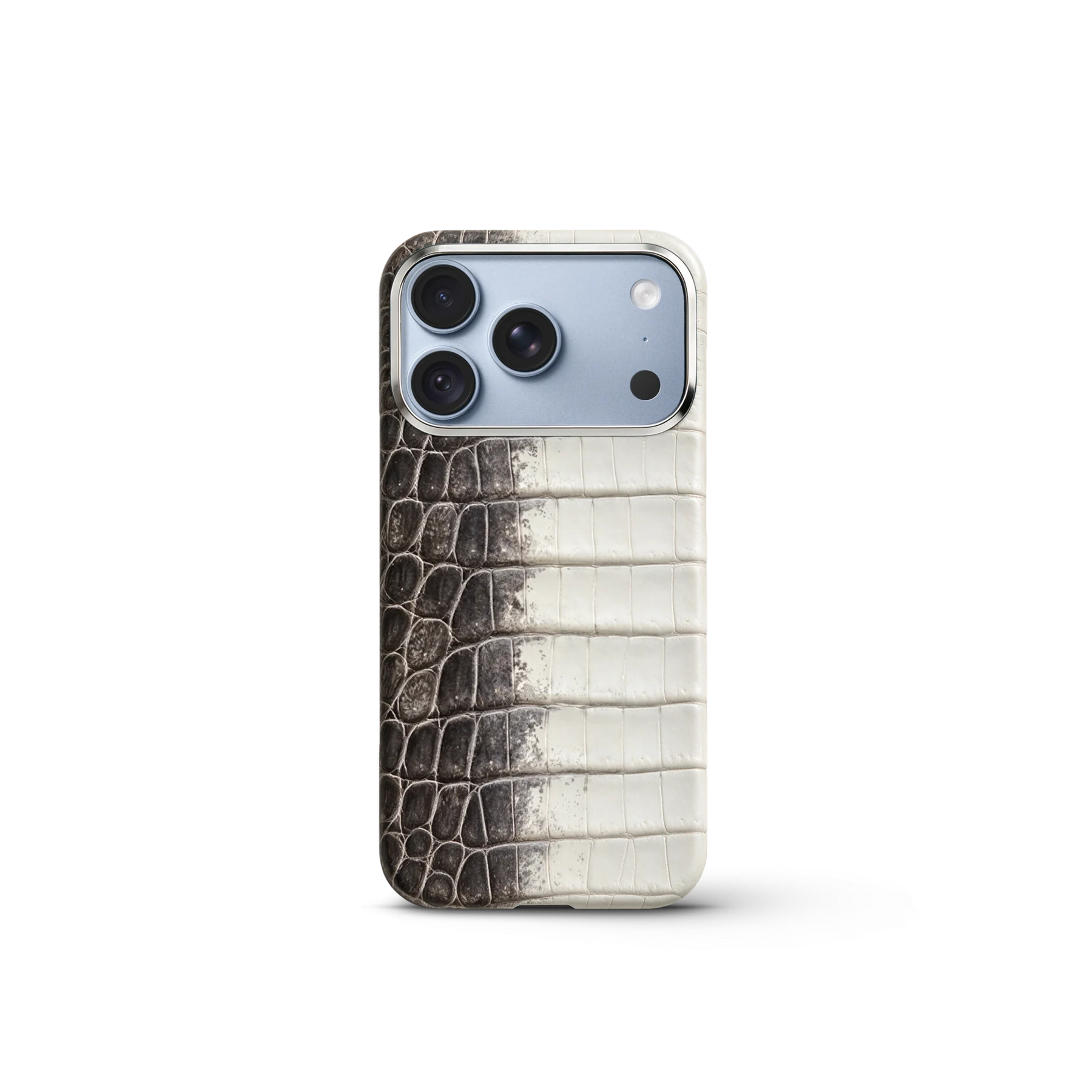 iPhone Case 18 & 17 &mdash; Crocodile Himalaya view 6