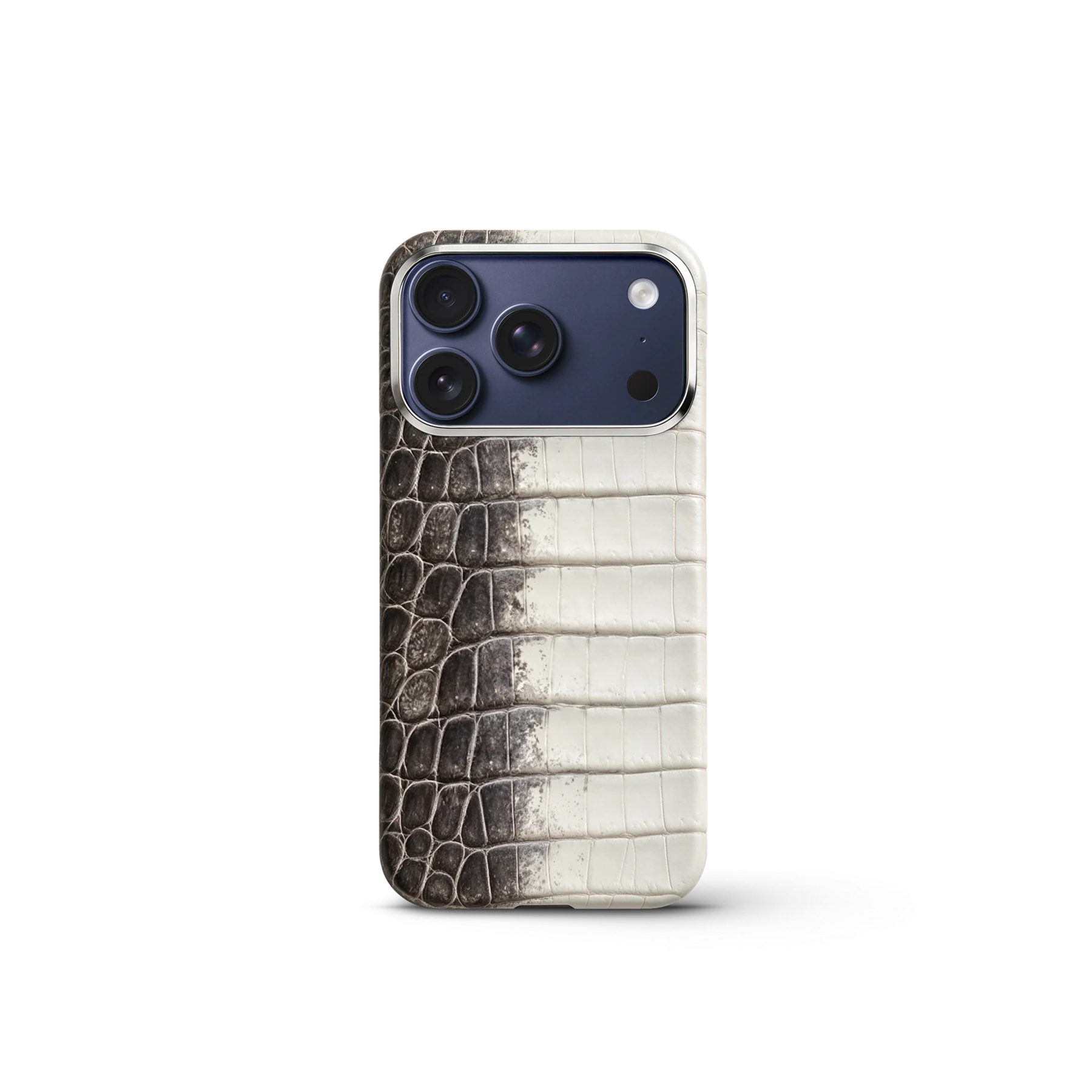 iPhone Case 18 & 17 &mdash; Crocodile Himalaya view 7