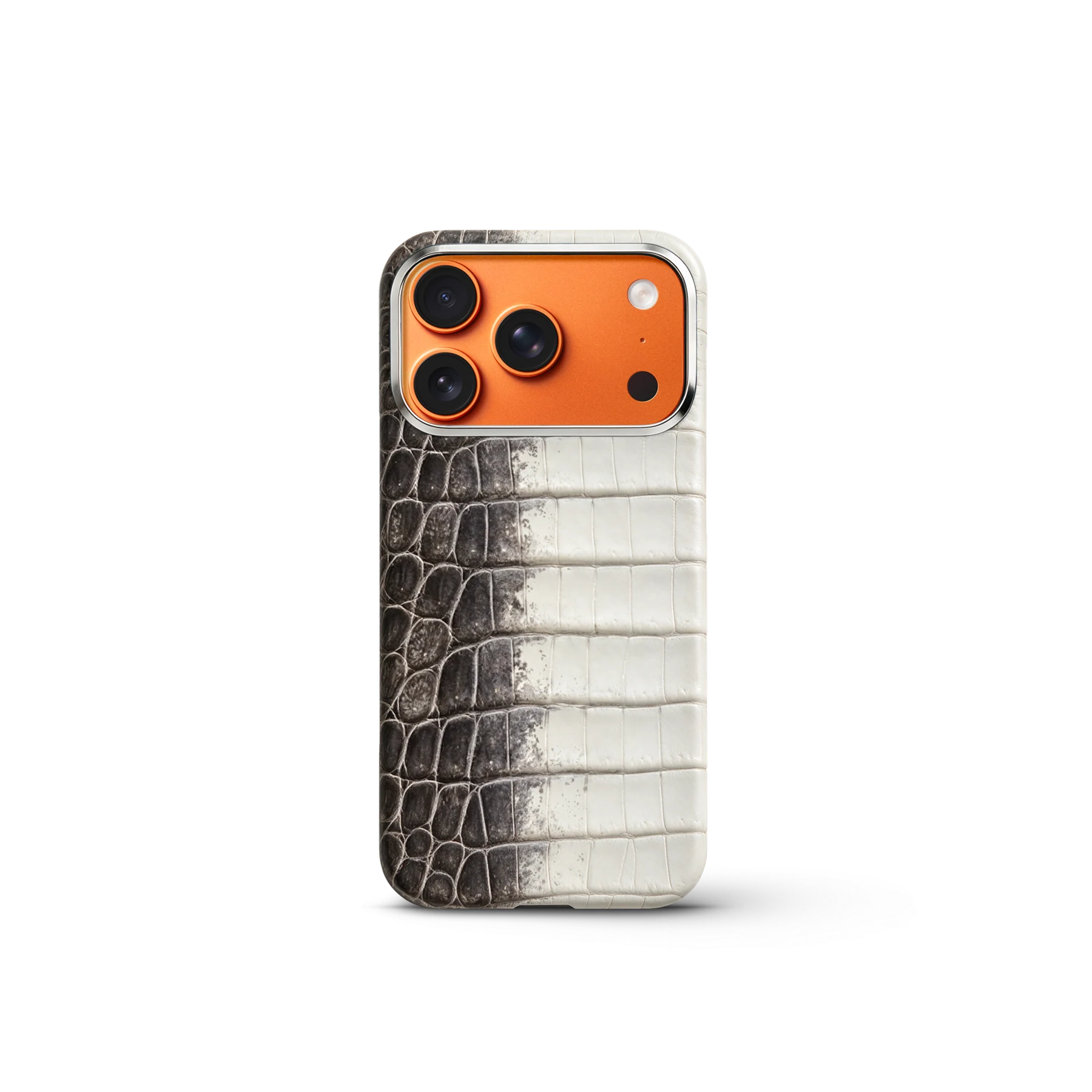 iPhone Case 18 & 17 &mdash; Crocodile Himalaya view 8