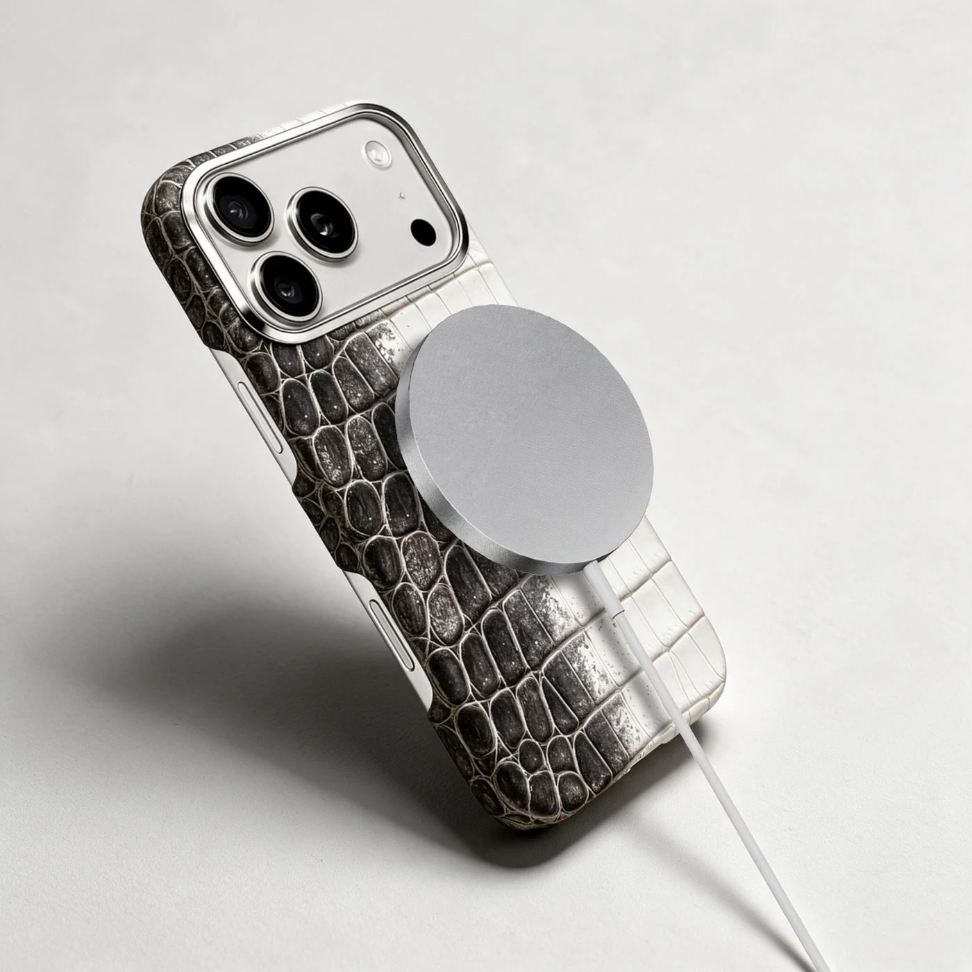 iPhone Case 18 & 17 &mdash; Crocodile Himalaya view 13
