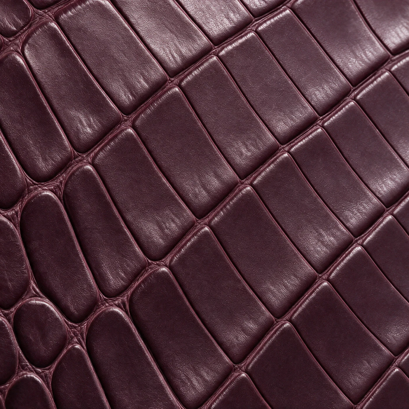 iPhone 18 EV Magnetic Shield &mdash; Burgundy Alligator view 7